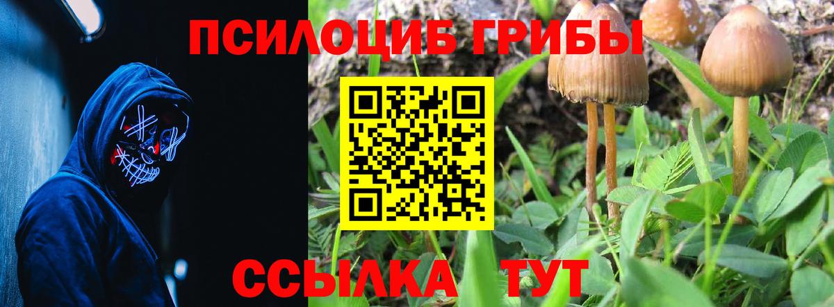 Пенза  закладки  Вход с VPN  Псилоцибиновые грибы мухоморы  Галлюциногенные грибы прущие грибы 